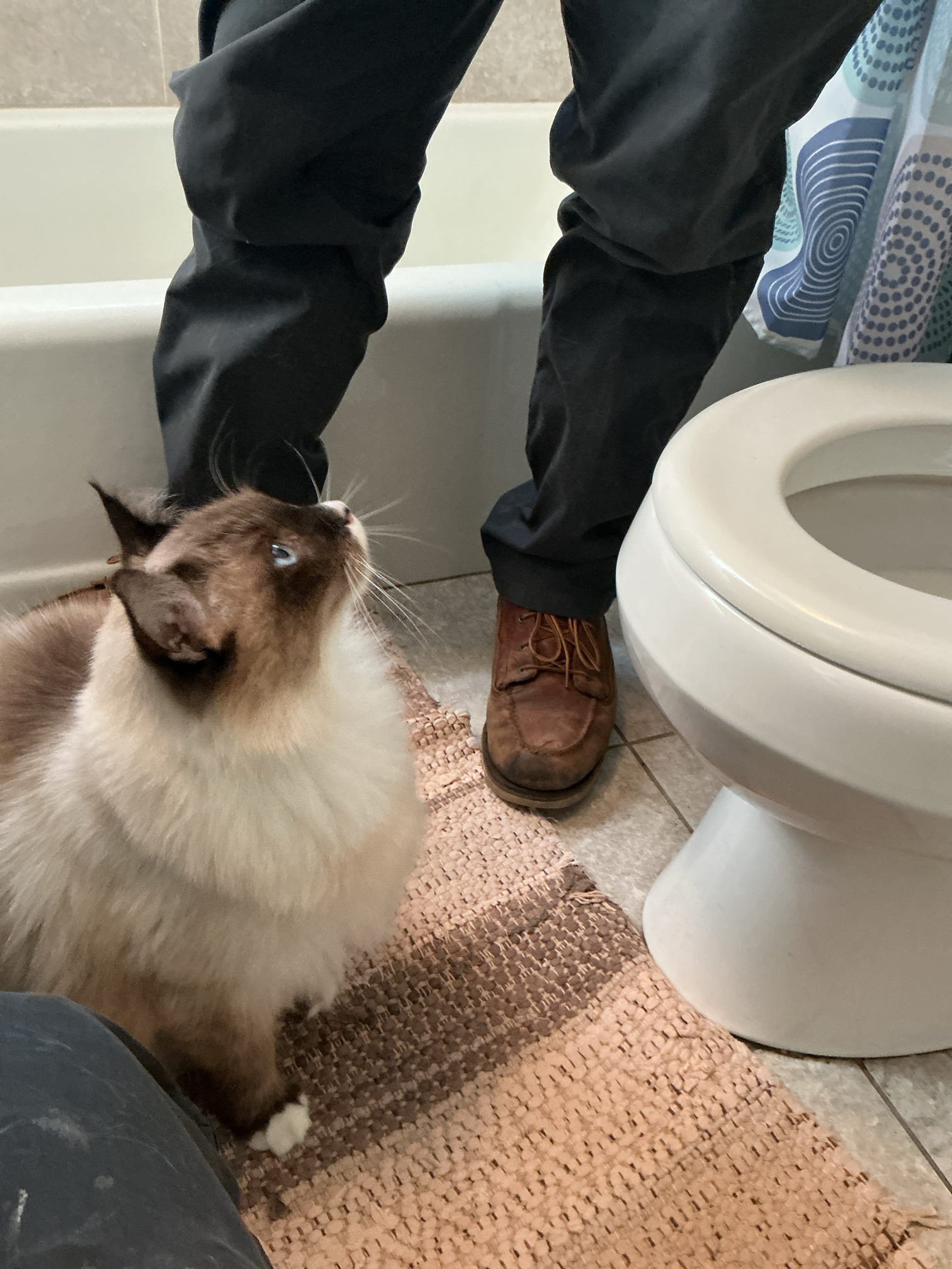 General Plumbing