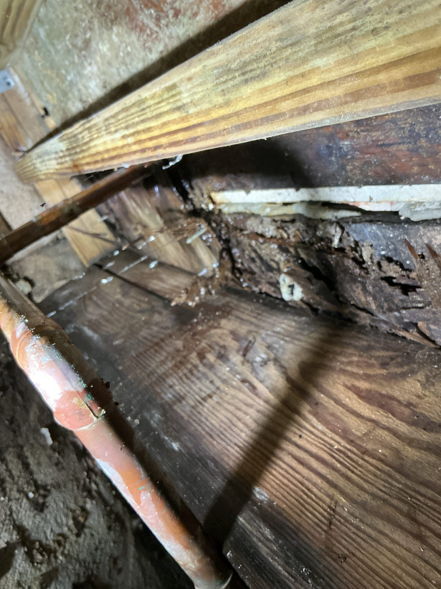 Water Heater Repair, Install & Replacement