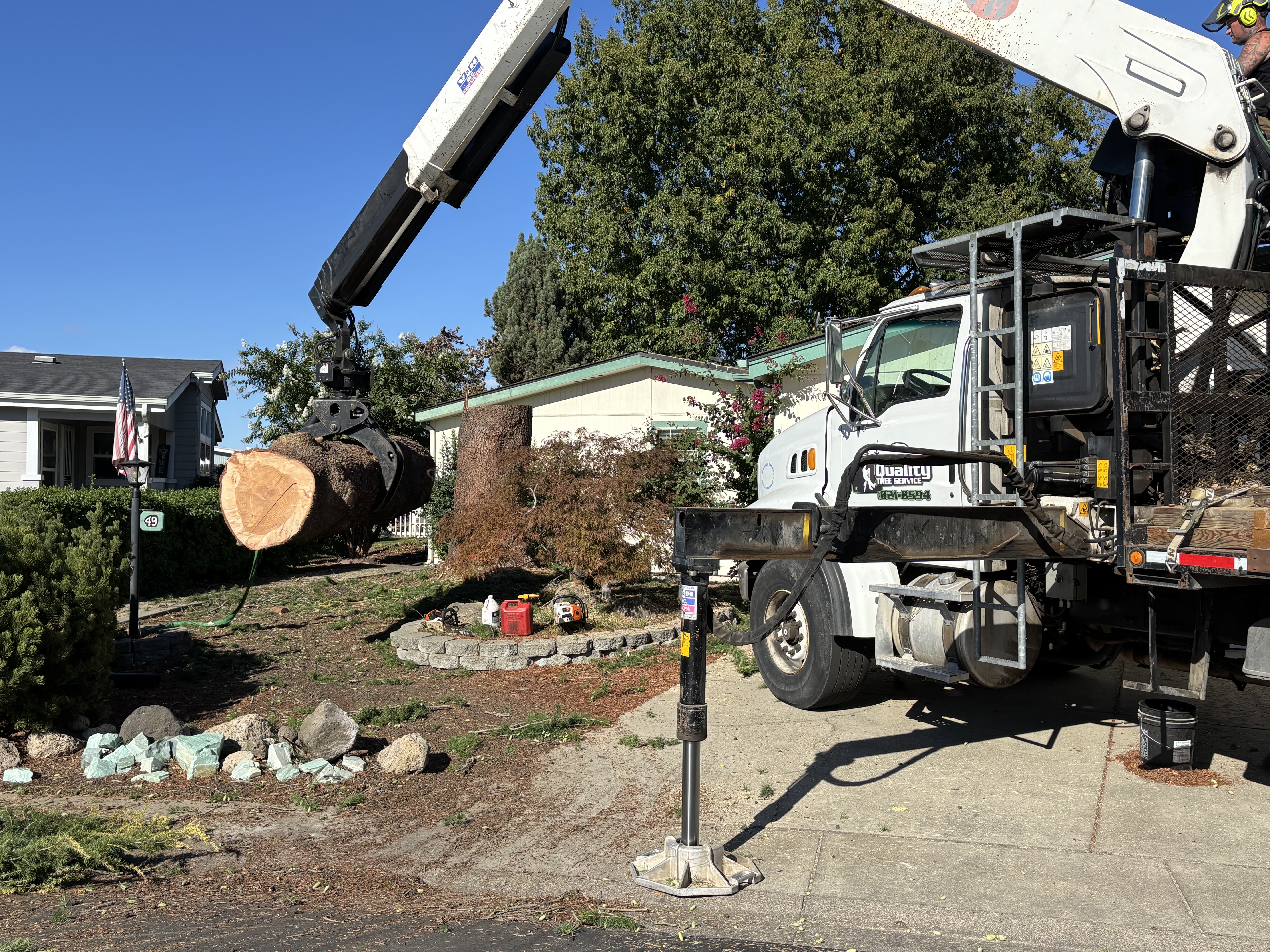 Tree Removal