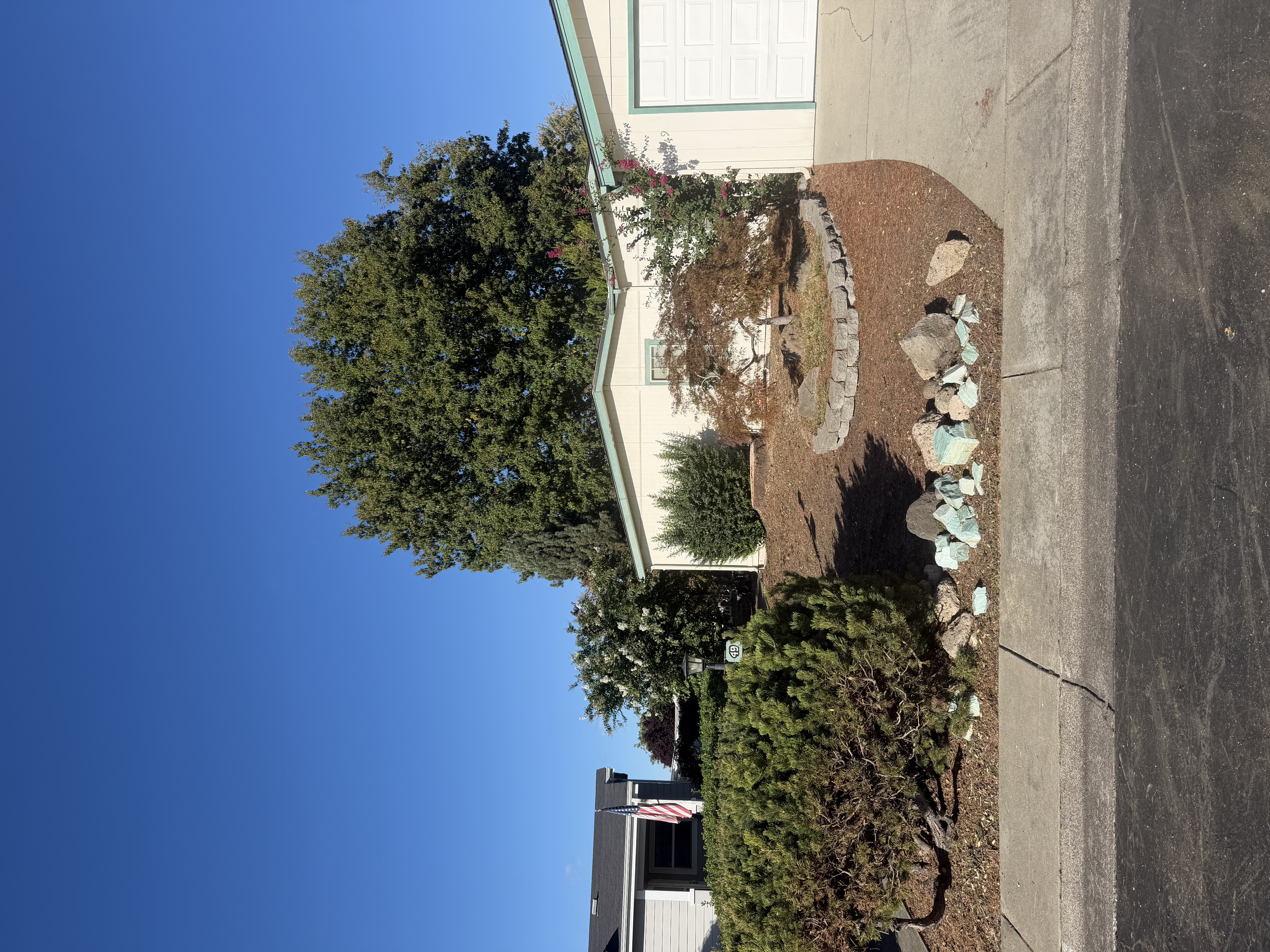 Tree Removal